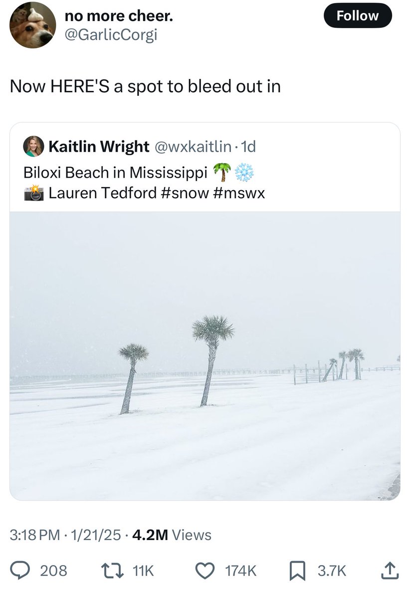 nah this aint right he turned in the paper without understanding the assignment