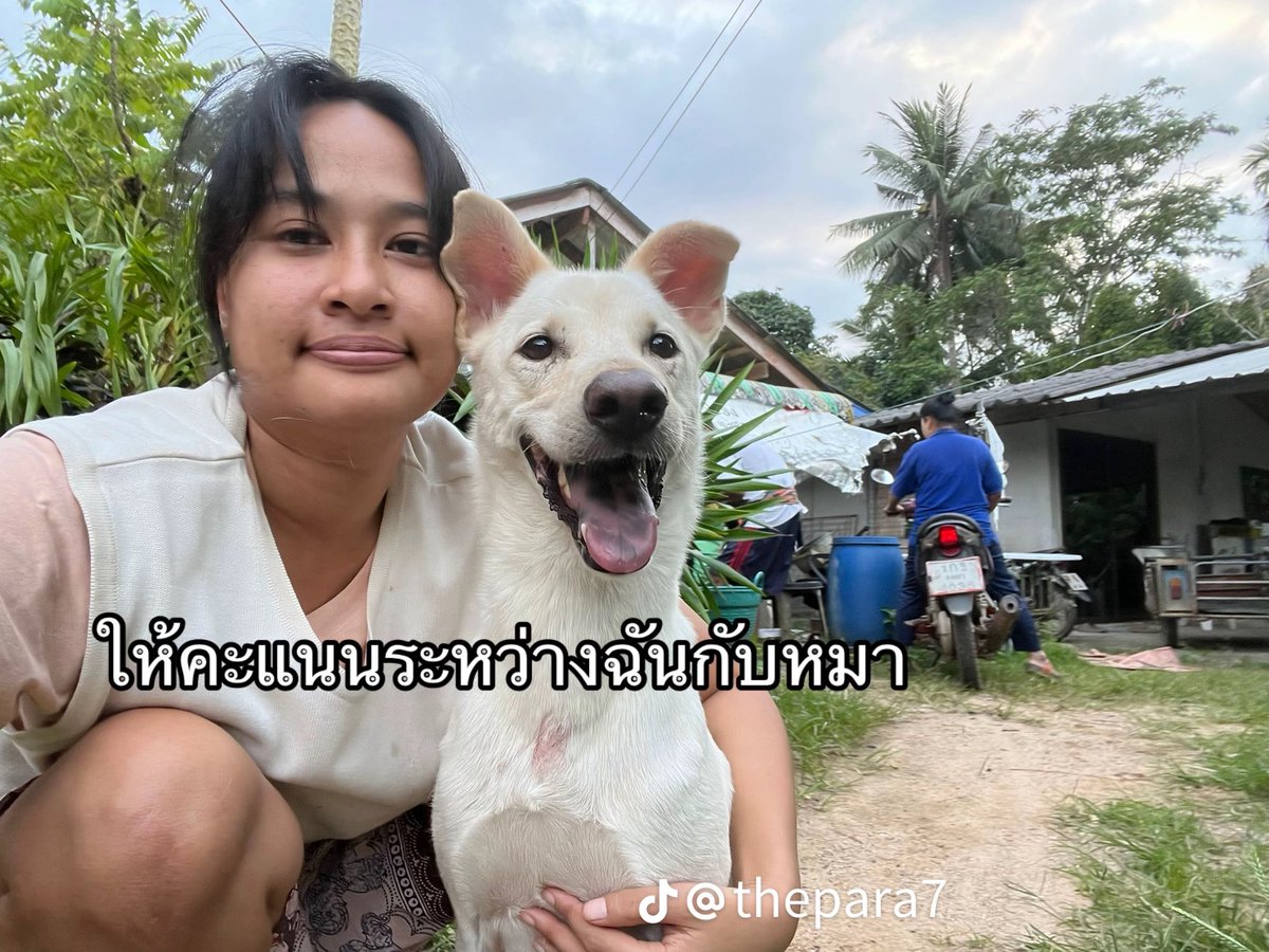 ชิเบิ้ล tweet media