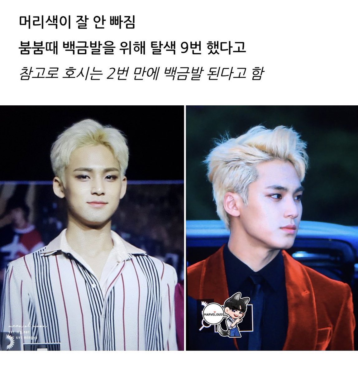 심지어 민규는 유명한 탈색안먹어인간인데
지금 2025붐붐민규를 말아주기위해서 탈색n번을 하셨다고?? 안그래도 짧은머리를???