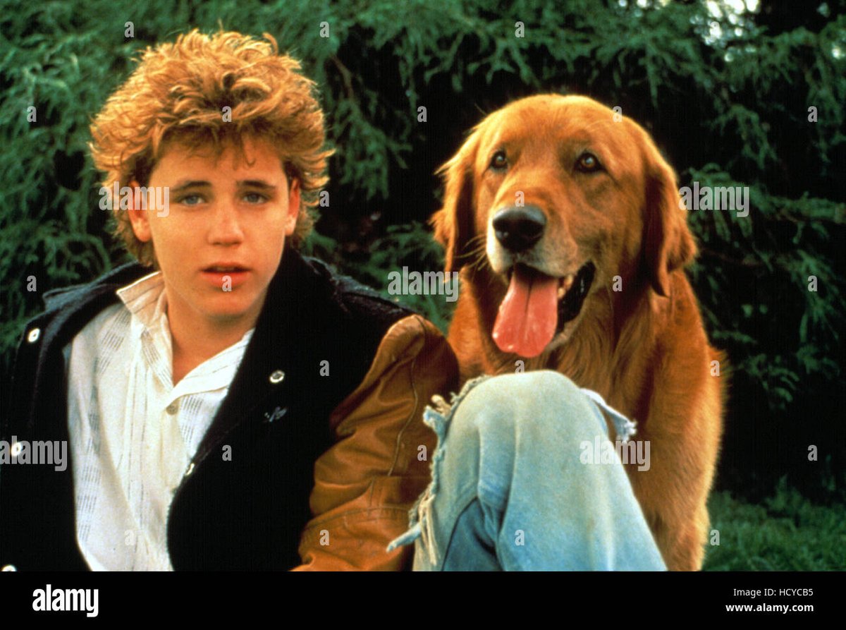 lilacscentdream's tweet image. Now watching Watchers (1988). #RIPCoreyHaim (1971-2010)