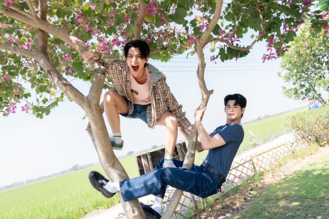 TUTa0218's tweet photo. Q18 ลิงชัดชัด 🤭🤭 ระดับไหน เกิ๊นหมด 

#SweetToothGoodDentist #STGD 
#GMMTV https://t.co/t8xbtr3z3W