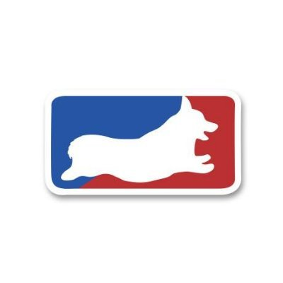 BryanFenley's tweet photo. Our corgi Izzy qualified to race at Corgi Nationals on Sunday, February 16th at Santa Anita. 

It's the highest athletic achievement bestowed upon our family, humans included. 

Come join us at the track. https://t.co/PTe88j9jmB