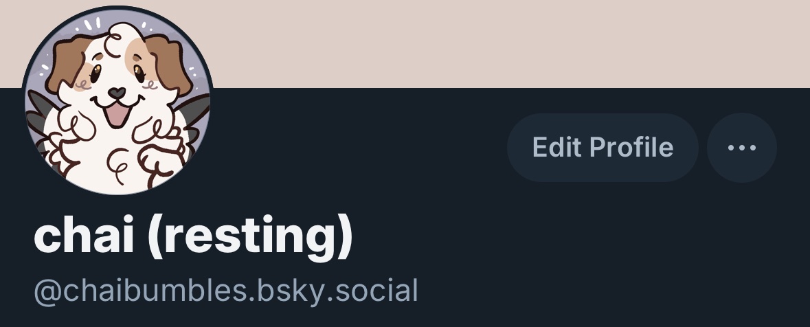 chai🏳️‍🌈🏳️‍⚧️🇵🇸 tweet media