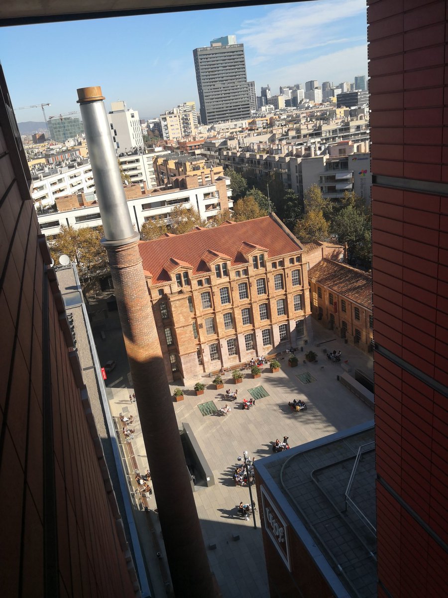 Carlos A. Scolari tweet media