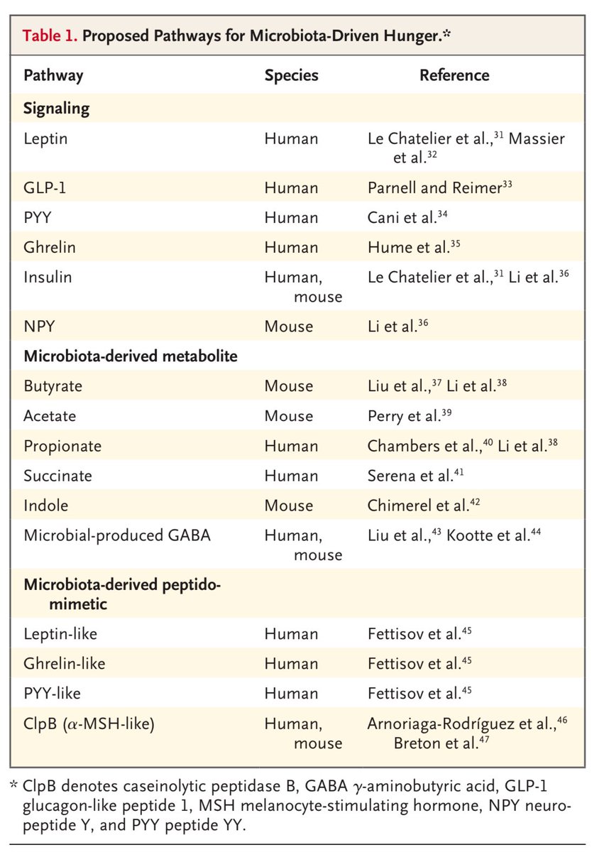 nejm.org/doi/full/10.10… Fisiopatologia del hambre <a href="/NEJM/">NEJM</a> <a href="/SociedadSeedo/">SEEDO</a> <a href="/ObesitySeen/">ObesitySEEN</a> “El hambre es un instinto de supervivencia ancestral y evolutivo; su importancia es evidente en las vías complejas y redundantes que involucran los cinco sentidos que lo regulan” <a href="/DrTinahones/">Francisco Tinahones</a>