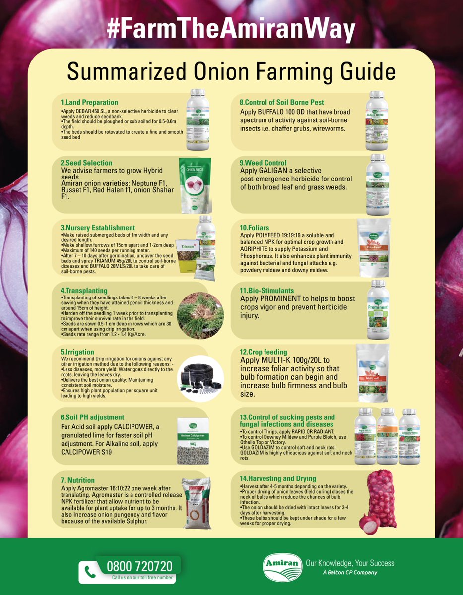 amiran_kenya's tweet photo. Unlock the Secrets to Bountiful Onion Harvests.

Amiran Kenya presents your Ultimate Guide to Onion Farming 

#amirankenya
#ourknowledgeyoursuccess 
#OnionFarming 
#smartfarming https://t.co/zydzbiU0KA