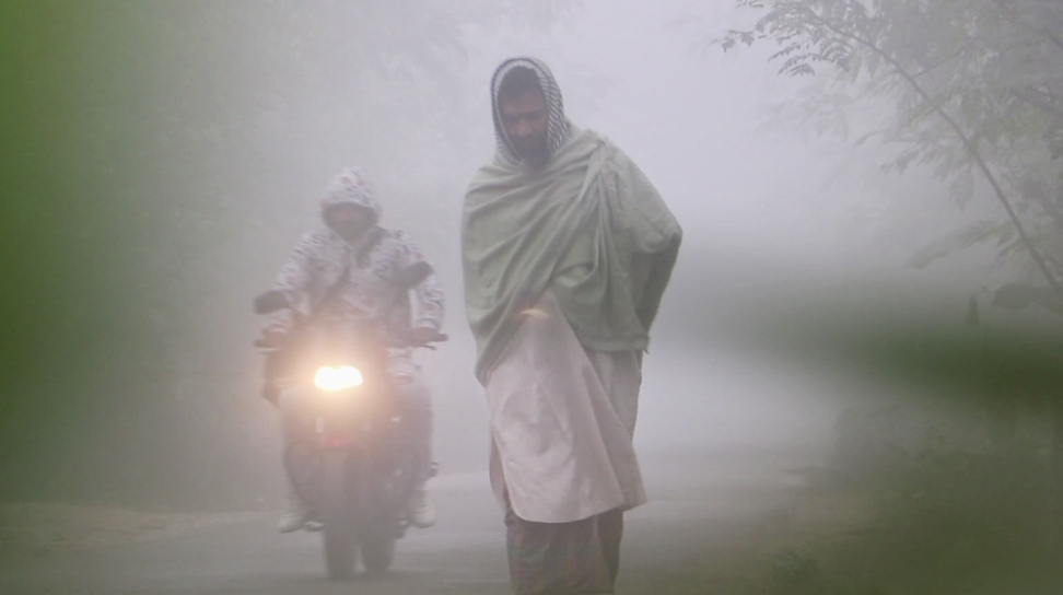 নওগাঁয় দেখা নেই সূর্যের, বৃষ্টির মতো ঝরছে শিশির