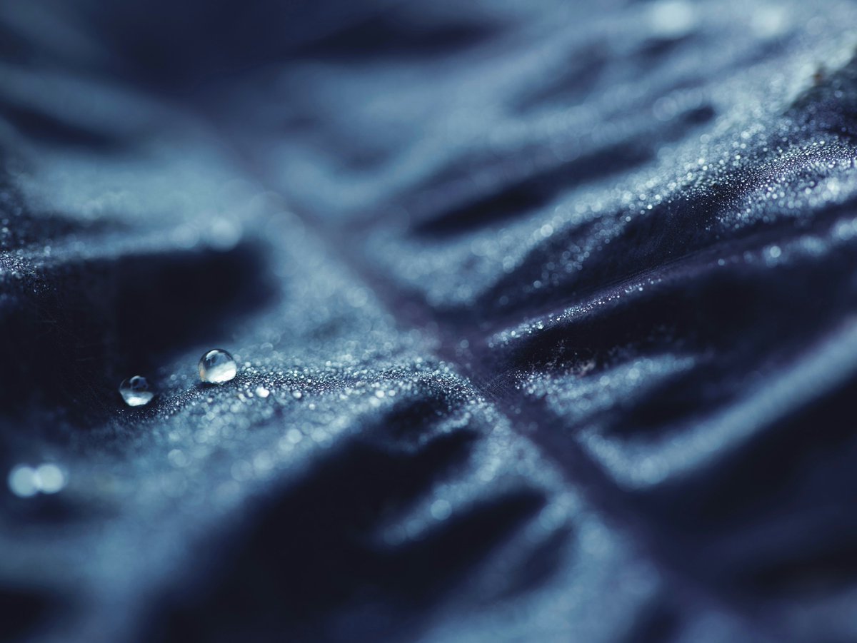 Yağmur suları biriktiriyorum, göz çukurlarımda...