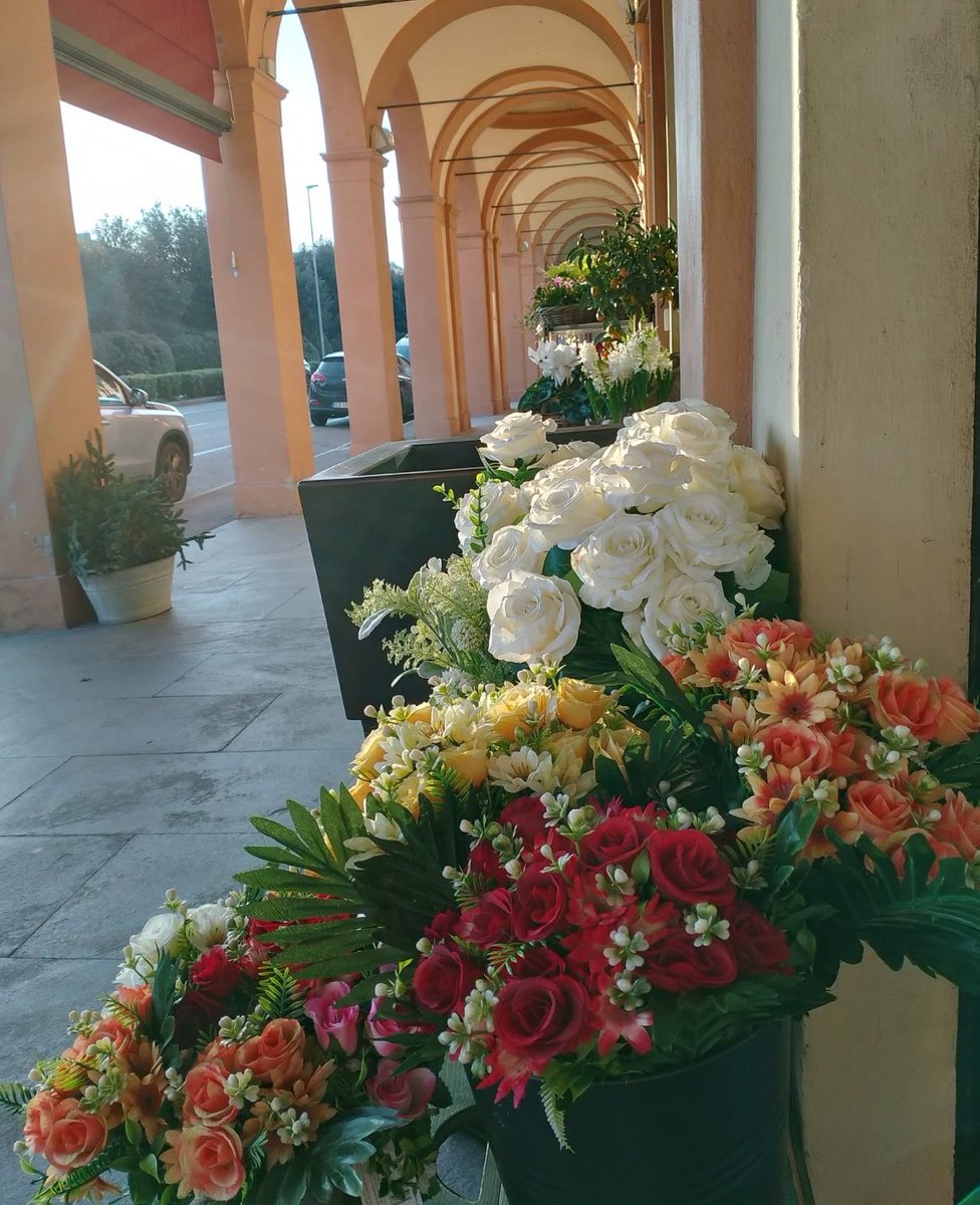 #Buongiorno
#Italia_bologna