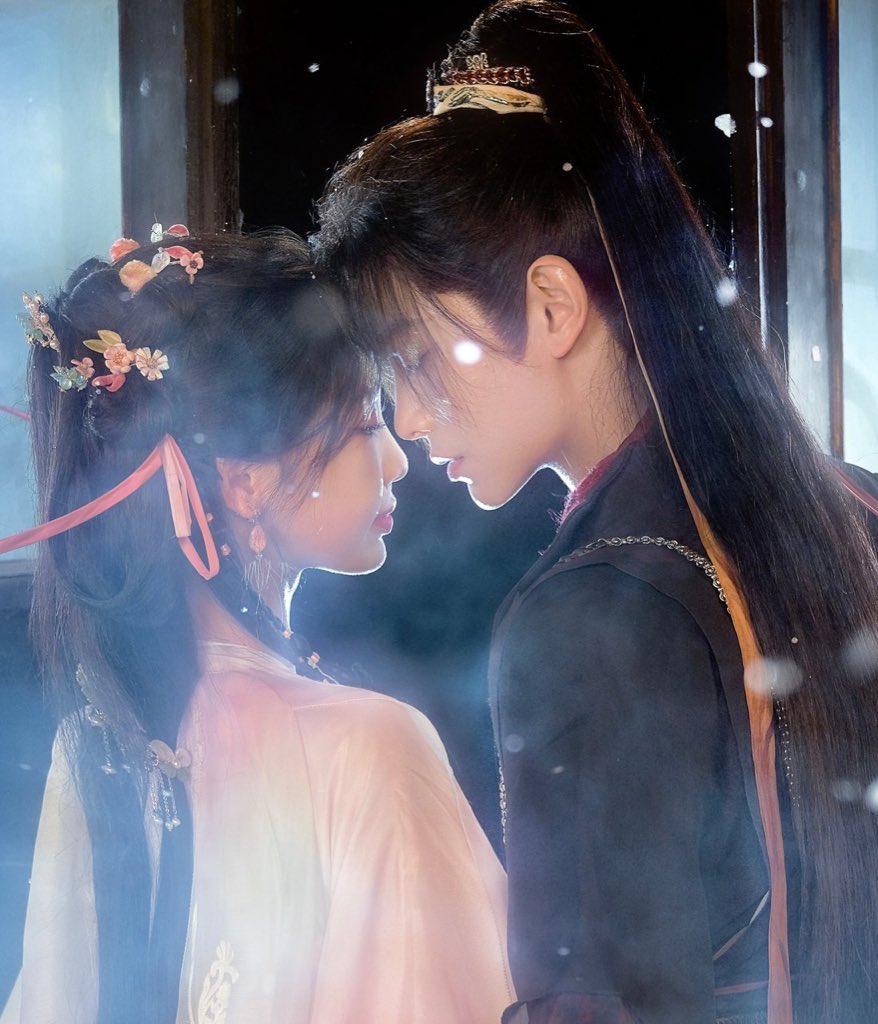 𝜗𝜚 (@dailymiaoqi) on Twitter photo 