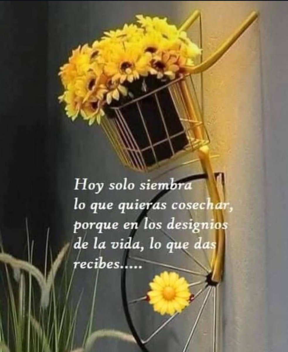 lynx_manuel's tweet photo. https://t.co/3HHII7iLqj