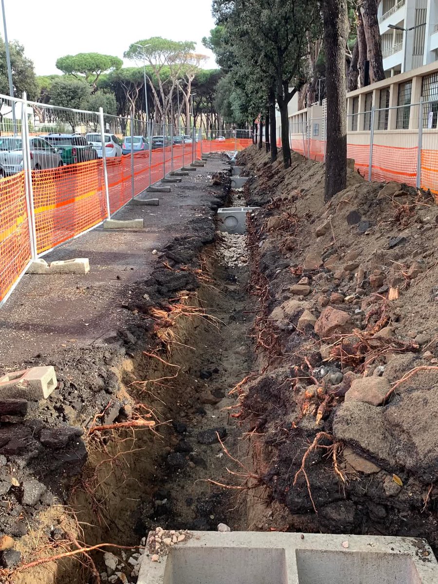 NordCdq's tweet photo. Proseguono i lavori per la sistemazione di Via Ernesto Giovannini. Iniziata la rimozione delle ceppaie e ora si stanno predisponendo le caditoie per fare defluire le acque piovane. 

#MunicipioRomaX #BuoneNotizie https://t.co/la94xCzXZE