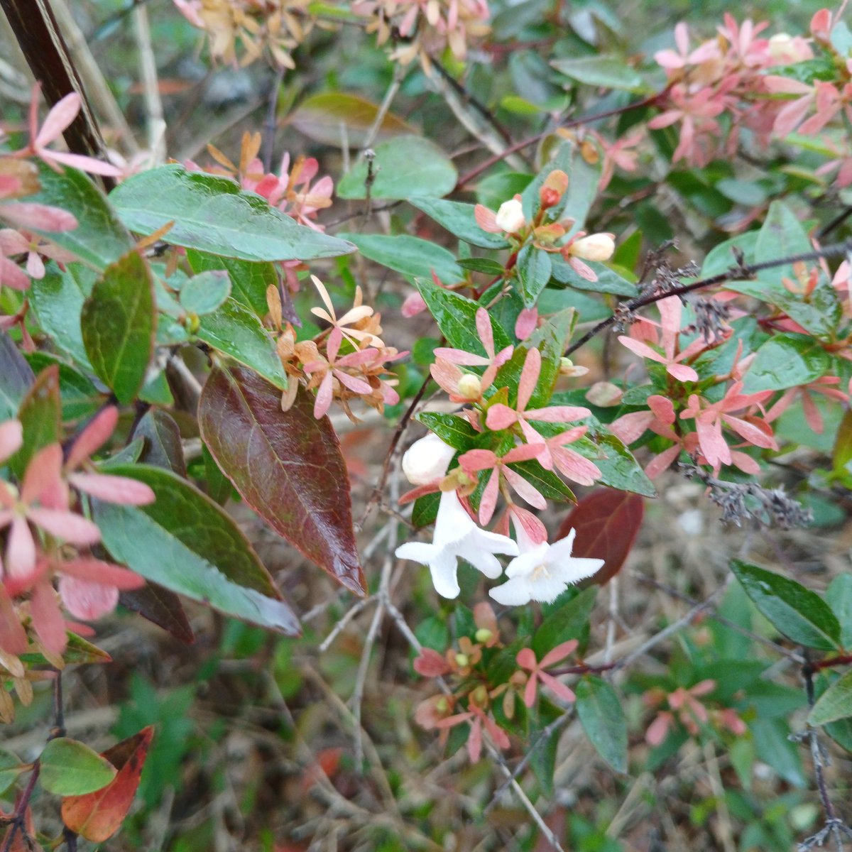 <a href="/turgayd2066/">Turgay</a>