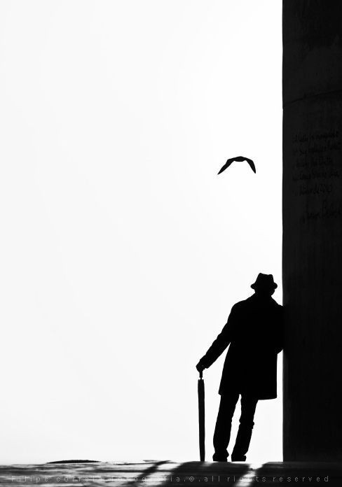 Vivere con lucidità una vita semplice, silenziosa, discreta, tra libri intelligenti, amando poche persone.

Nicolás Gómez Dávila 🖋

#LeCoseCheSalvano
#SalaLettura
<a href="/SalaLettura/">©️ Il Caffè Letterario</a>