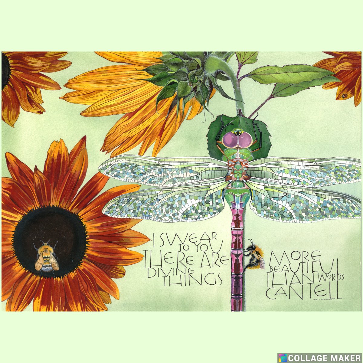 Sam Cannon Art tweet media