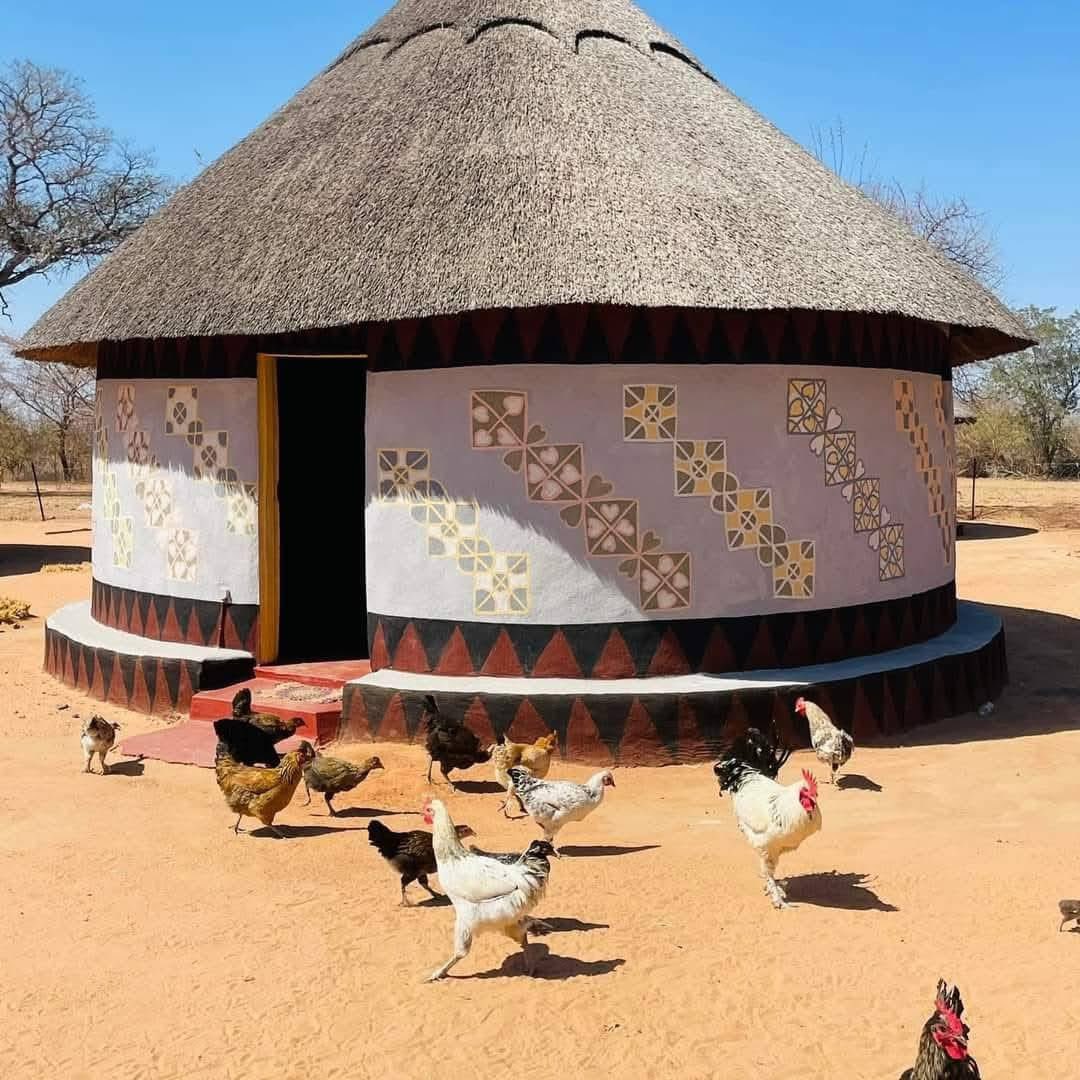 Fighter Rakgadi 🇿🇦 🇧🇫 tweet media