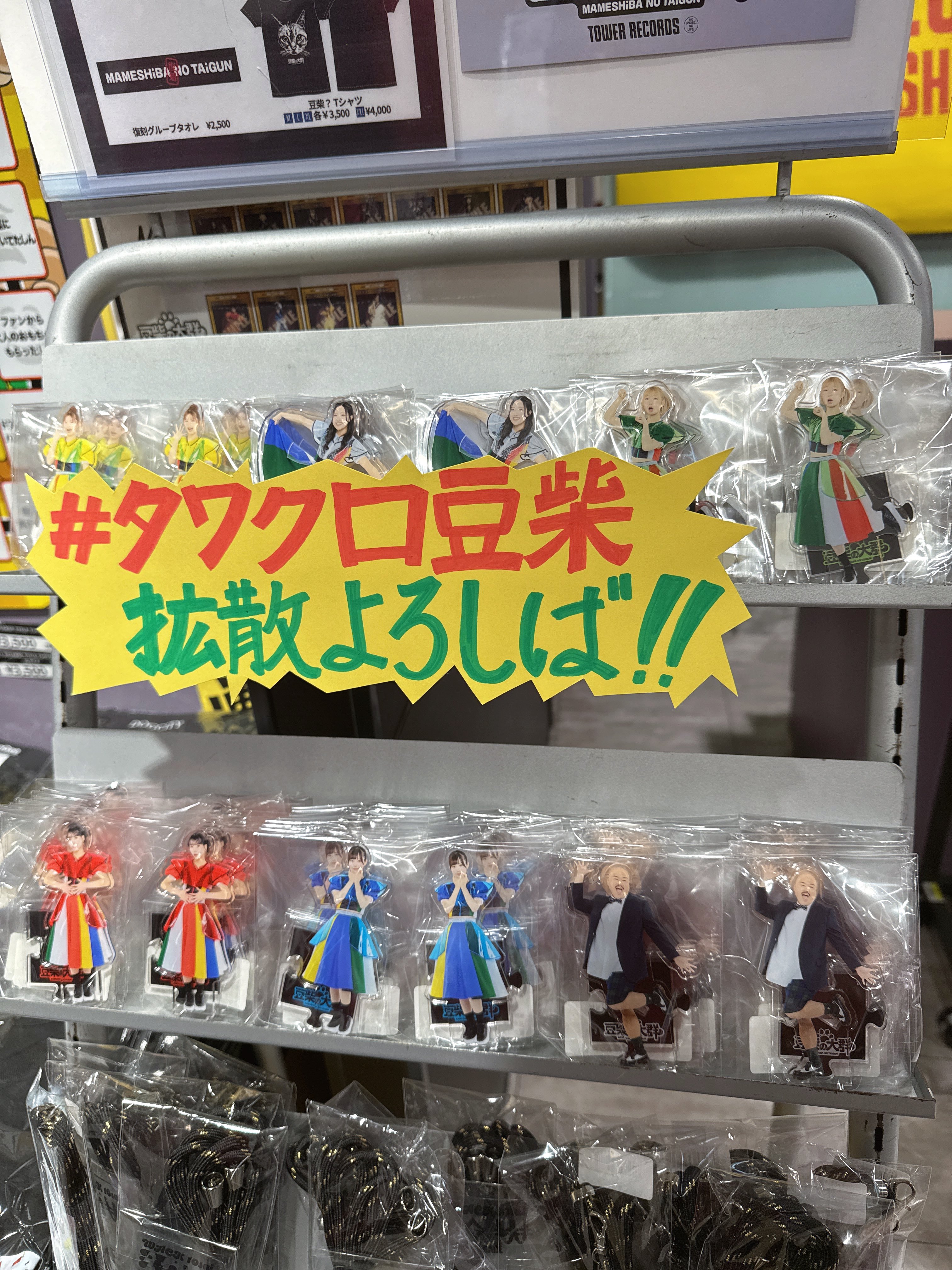豆柴の大群　クロちゃん　アクリルスタンド 渋谷タワレコ4階の特設コーナー アクリルスタンド！ 売り切れ