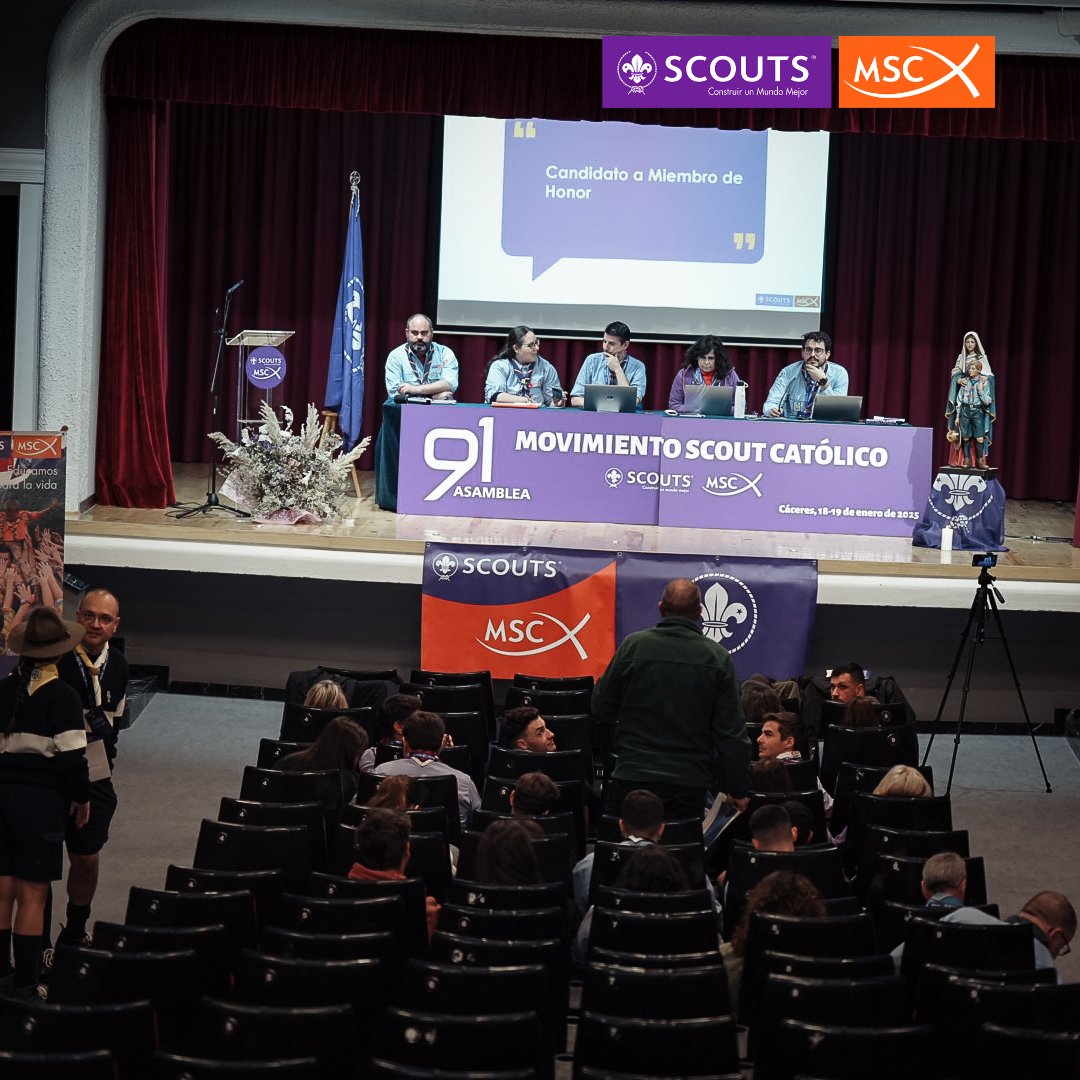 Scouts MSC tweet media
