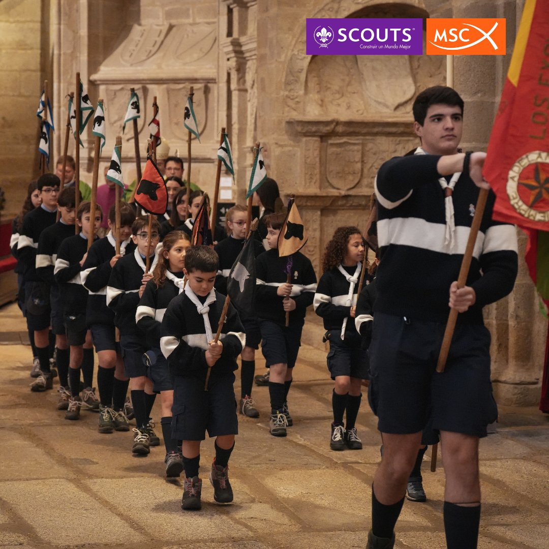 Scouts MSC tweet media