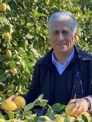 GiGraziano's tweet photo. 🟡 Oggi visita in uno dei tanti “giardini” della Calabria jonica, i colori sono intensi come il profumo delle zagare e dei limoni.
Sono questi colori e questi profumi del sole mediterraneo l'oro della nostra terra.

#agrumeti #limoni #profumiesclusivi #coloridinverno #calabria https://t.co/TALD7xtWYr