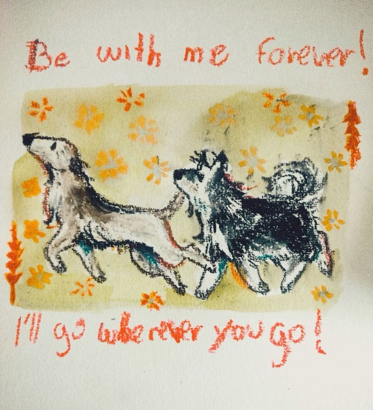 caninepoetry tweet media