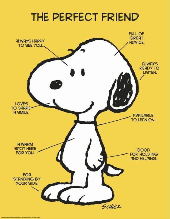 Daily Snoopy (@dailysnoopys) on Twitter photo 