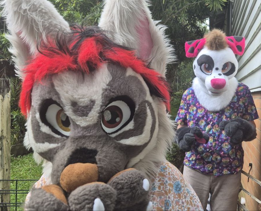 🐺@tillywolf trying to teach me how to be all cute and stuff.

📷 <a href="/aussie_rusty/">AussieRusty</a>
#fursuit #fursuiteveryday #furry #fursuiting