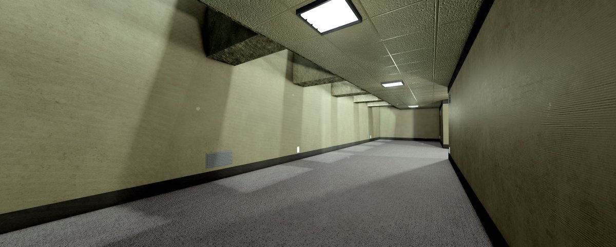 ZOY 🔨 tweet media