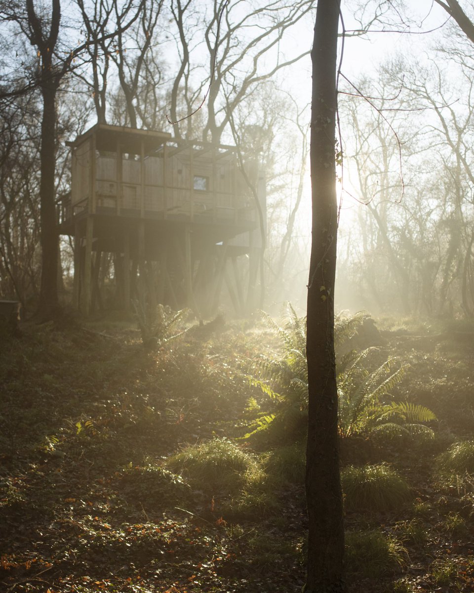 mallinsonswr's tweet photo. Imagine waking up in the treetops - sunrise views, starry skies, and pure magic 🌿✨ Ready to make it a reality? Your 2025 adventure awaits - book now!

#TreetopEscape #StayInNature #TreehouseMagic #UniqueGetaways #StarrySkies #SunriseAdventures #NatureRetreat #Dorset #Mallinsons https://t.co/sLN5LDTVlL