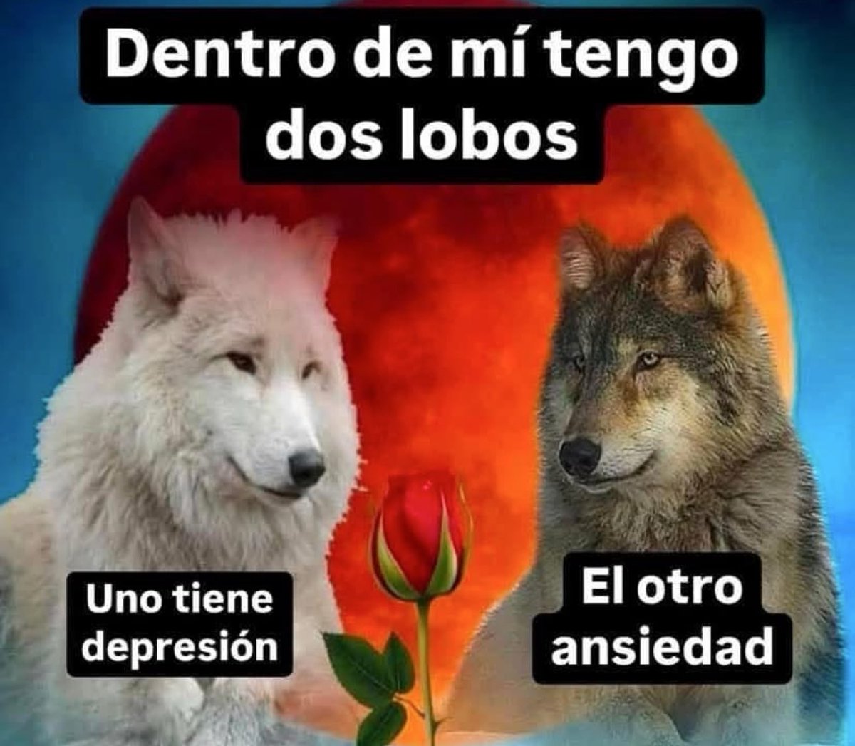 skereunpesado's tweet photo. https://t.co/o2CpU9dNM3