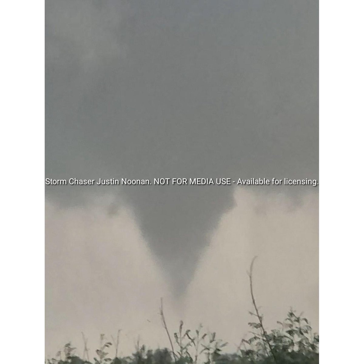 Justin Noonan tweet media