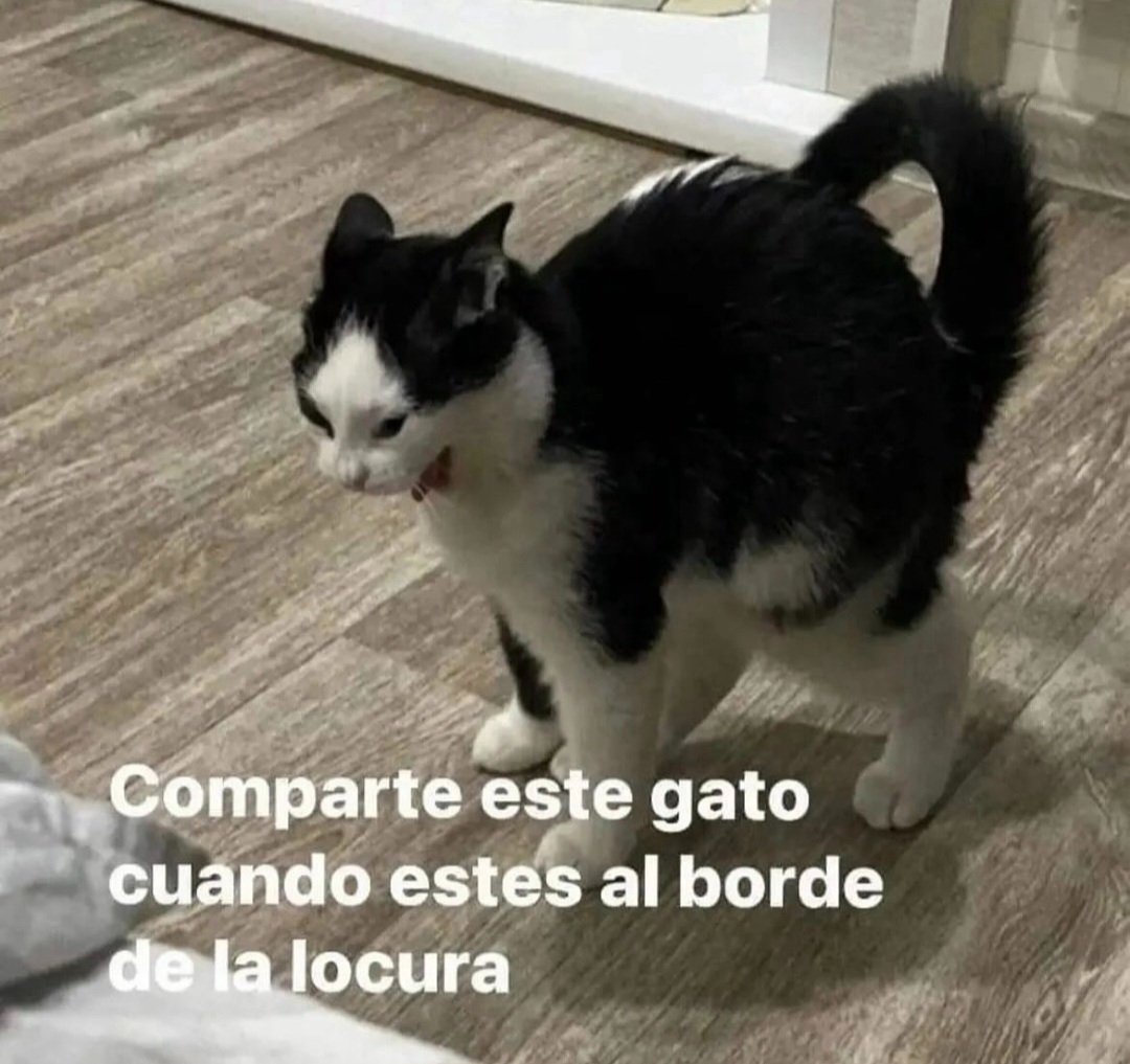 En Júpiter (@en_jupiter_) on Twitter photo 