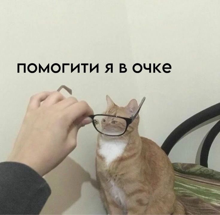 джокер (@oceangiven) on Twitter photo 