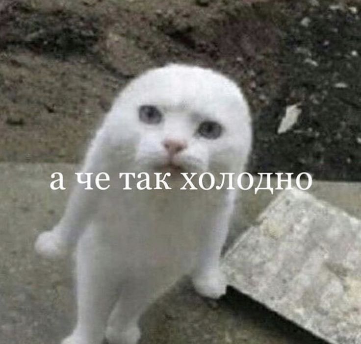 джокер (@oceangiven) on Twitter photo 