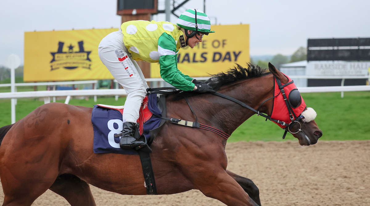 Michael Dods Racing (@mdodsracing) on Twitter photo Two runners at <a href="/NewcastleRaces/">Newcastle Racecourse</a> today: Marcello Si (<a href="/CliffordleexLee/">Clifford Lee</a> ) and Stallone (<a href="/FMcmanoman/">Faye mcmanoman</a>). Good luck to connections Two runners at <a href="/NewcastleRaces/">Newcastle Racecourse</a> today: Marcello Si (<a href="/CliffordleexLee/">Clifford Lee</a> ) and Stallone (<a href="/FMcmanoman/">Faye mcmanoman</a>). Good luck to connections