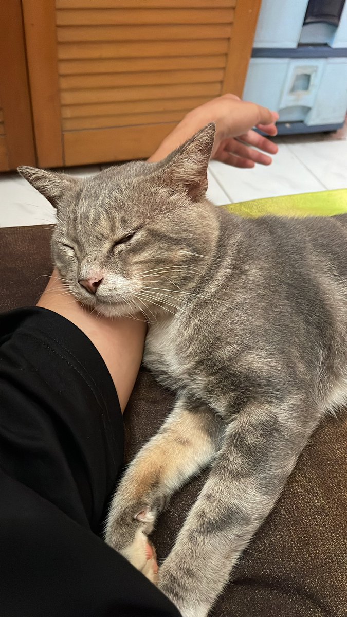 Boci dulu bye.