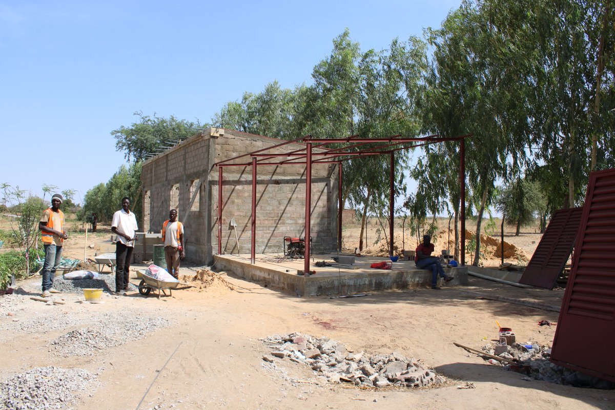 agmvtchad's tweet photo. 🌿 L’ANGMV a visité le FACI de Mandelia, un site de référence pour la résilience au Tchad. Ce projet avec le @PNUD_Tchad  (4 ha, 700 bénéficiaires) valorise le maraîchage &amp; le moringa. Prochainement : formation sur la transformation du moringa pour les femmes. https://t.co/62Pn8zqQLV