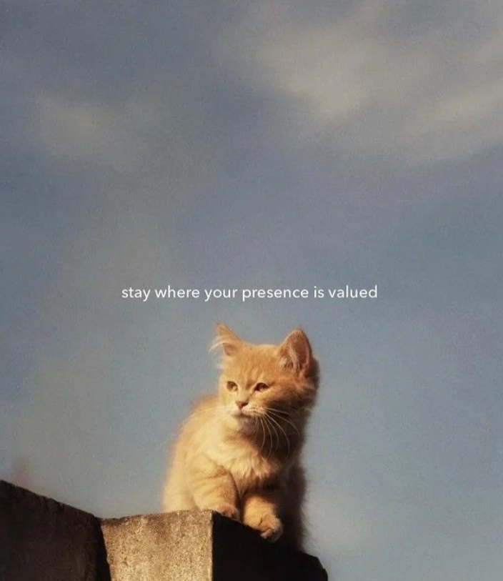 selfcare_essen's tweet photo. https://t.co/oUi0t480bD