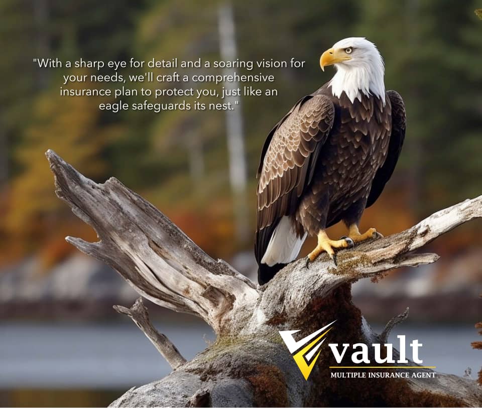 vaultinsure2024's tweet photo. https://t.co/Wiz92HGAWn