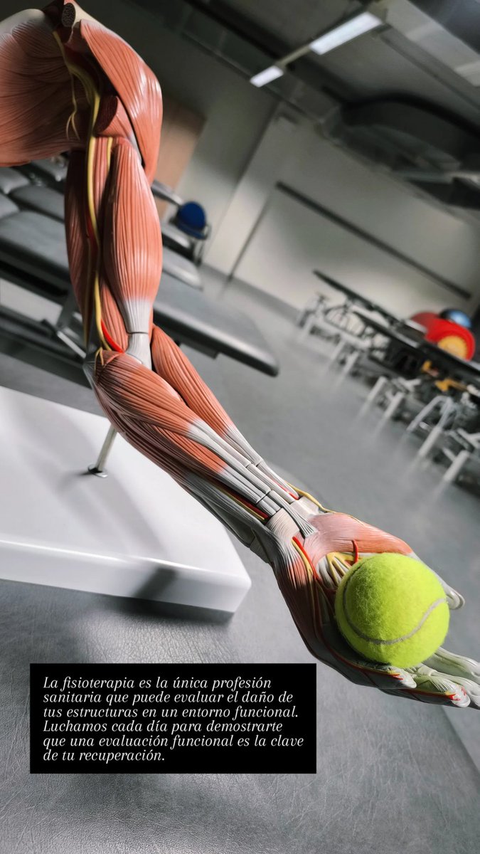 🤸‍♂️Global Therapy tweet media