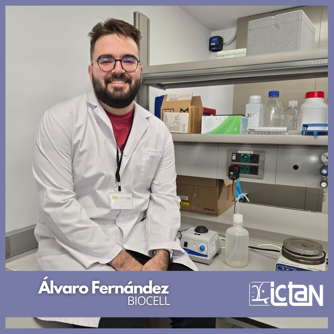 ICTAN's tweet photo. 🎯Álvaro Fernández (@Alvaro_Nutri) inicia su camino doctoral en el grupo #BIOCELL con la dirección de Beatriz Sarriá y Laura Bravo del @ICTAN y Carmen Cuadrado de @ffarmaciaUCM 
⭐️Bienvenido Álvaro, el #ICTAN gana con tu talento @CSIC https://t.co/KVppGSqtcW