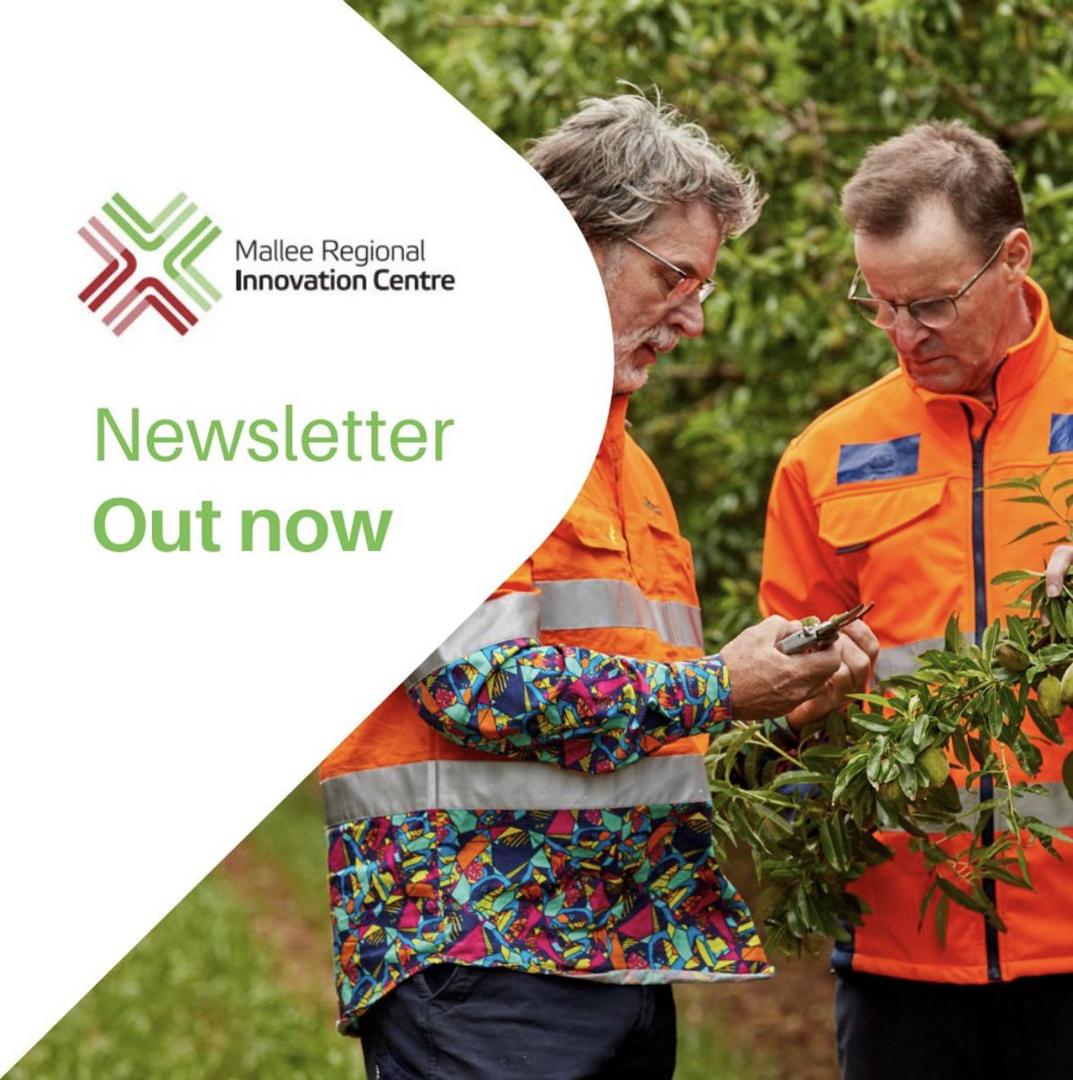 ICYMI our Dec newsletter - the most popular stories of 2024, One Basin CRC Mildura Hub launch, Mildura based industry internships &amp; a profile of Almond Board of Australia CEO Tim Jackson. Read more here: lnkd.in/g5zi_r74