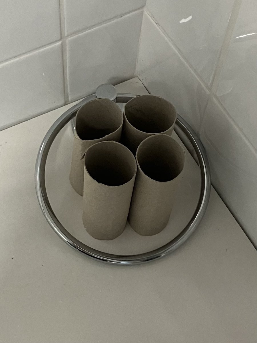 Random spot. Anyone else getting Zonda vibes???
(In my household we’re not very good at throwing away old toilet rolls.)