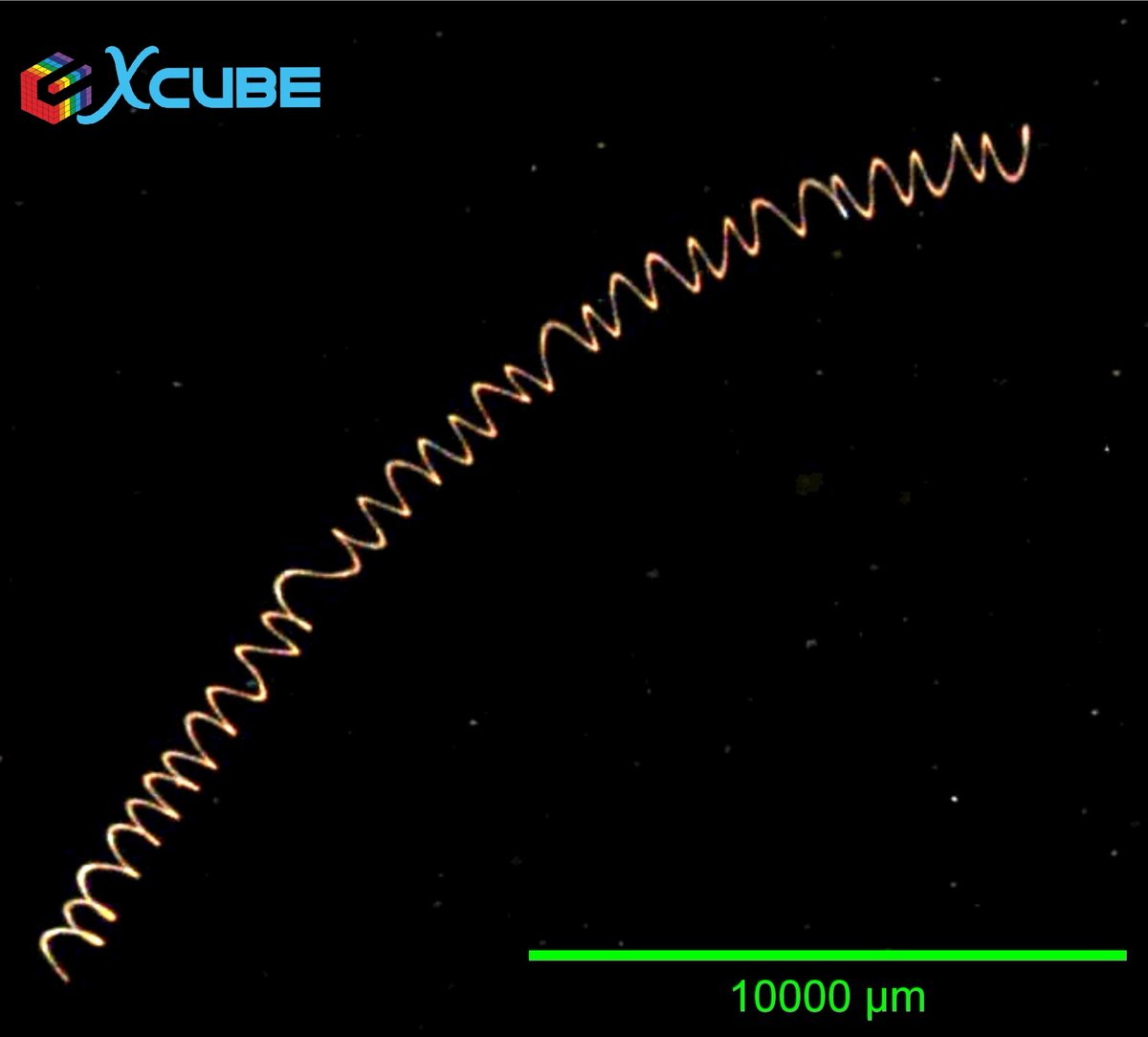 Giant phytoplankton. Never imagine.