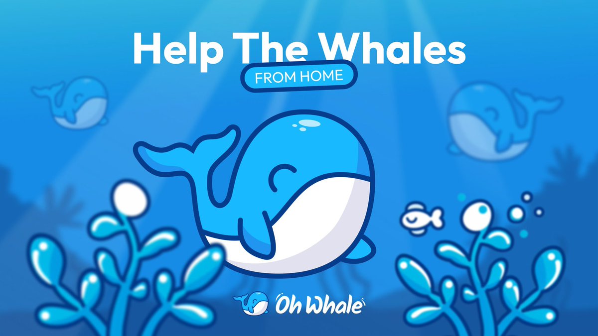 With Oh Whale, your #crypto makes a real-world impact. Here's what you can do:

☑️Buy $OHW during our presale

💶At the end of each stage, a portion of funds is allocated for donations

🌊 Then, the community votes on trustworthy non-profits to support marine ecosystem protection