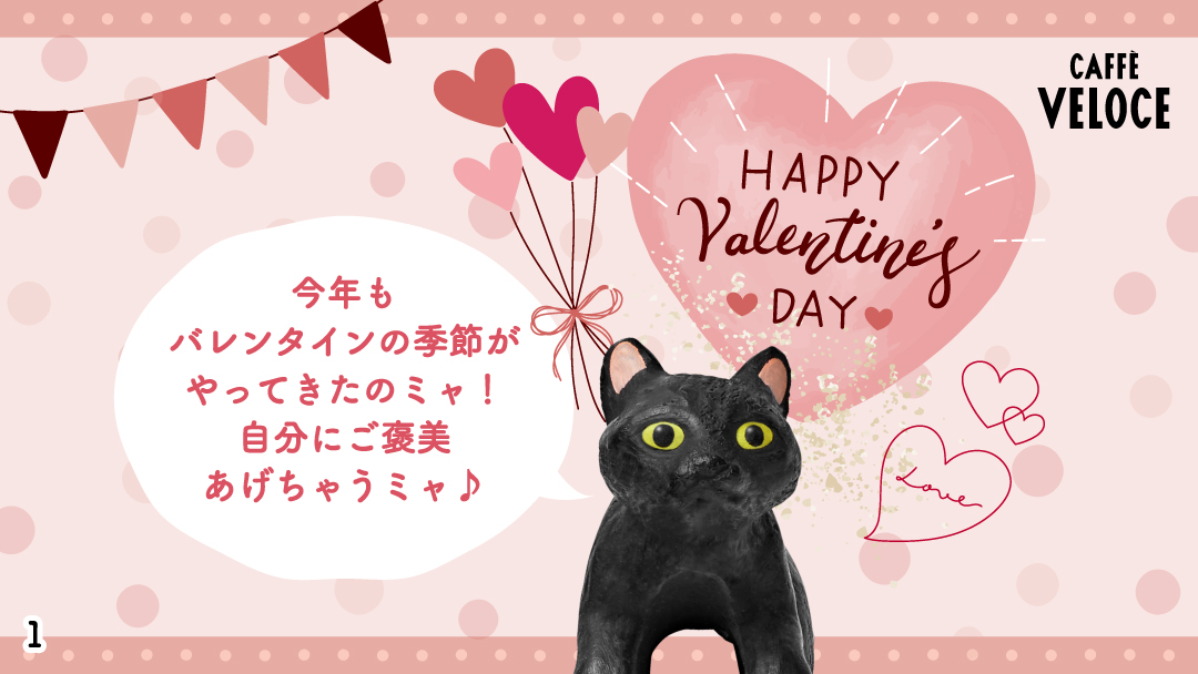 まめなのミャ (^・ェ・^) 今日は #バレンタイン ミャ💕 みんなは #自分