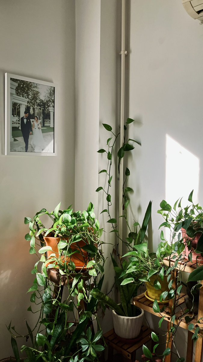 Gm fam ❤️
How are you today?