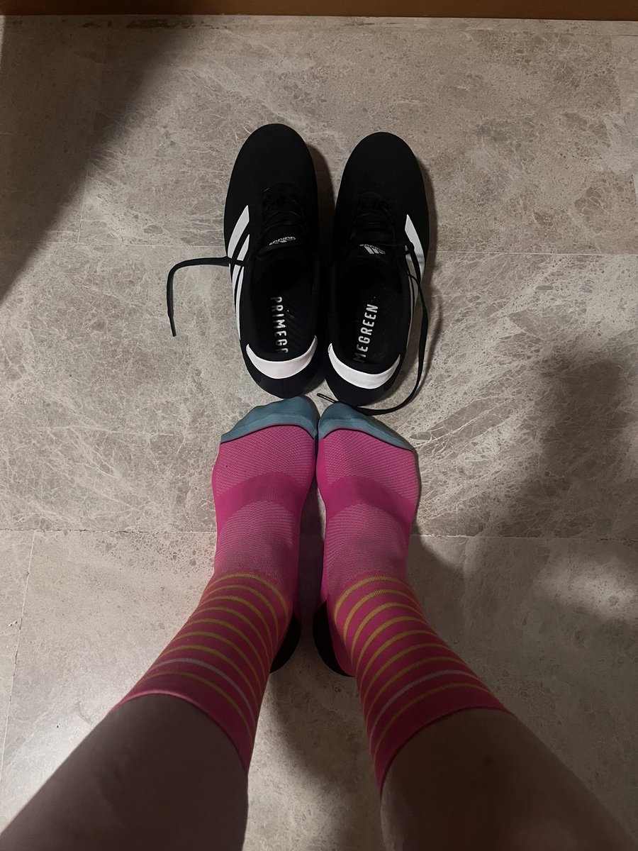 Dog_in_a_hat's tweet image. Todays sock choice… #sockdoping