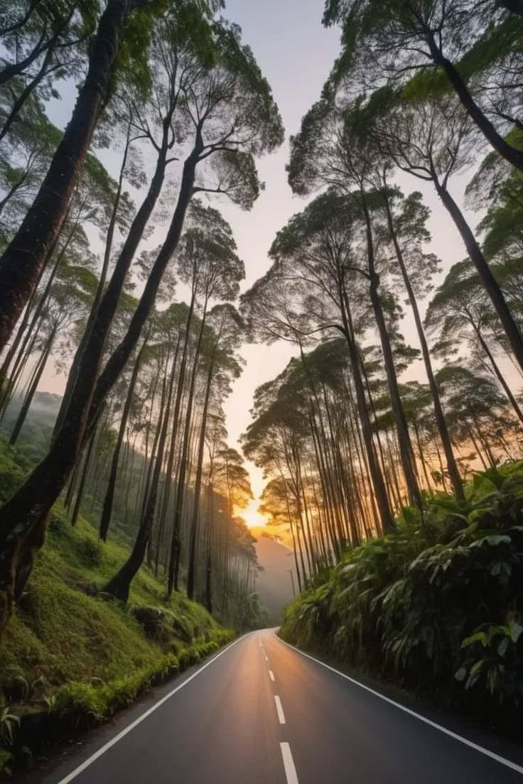 "Todo  cambio  comienza  en  nuestra  mente"...!!!