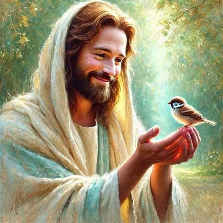 michaelsala7's tweet photo. فلتكن يدك قبل يدى فى كل شئ اصنعه اليوم..
فباطل كل تعبى من غيرك 🙏 لأن يدك لا تخطئ ابدا 🙏🏻🙏🏻❤️ https://t.co/a2vsib8N1d